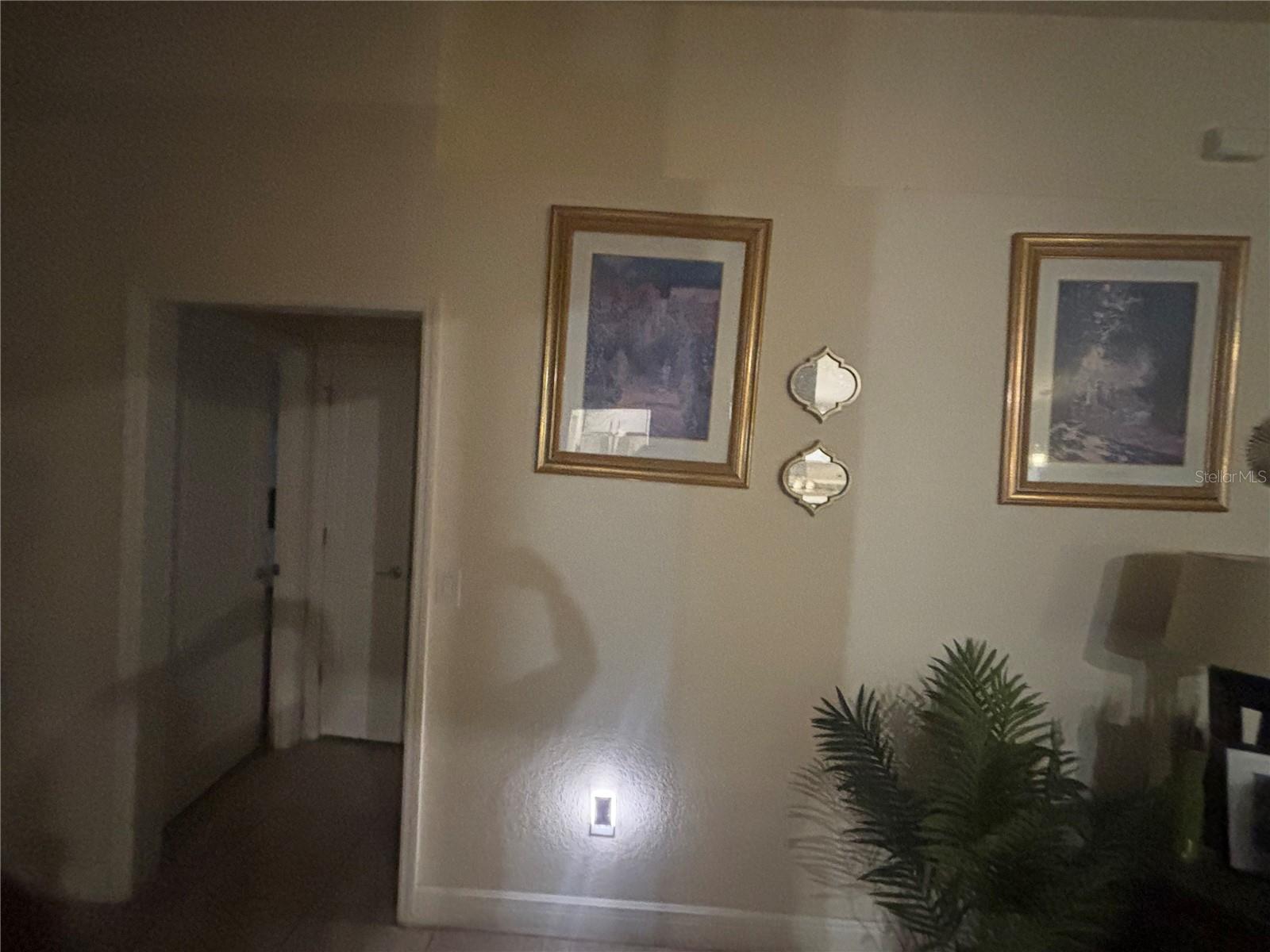 12214 LEGACY BRIGHT, RIVERVIEW, FL — photo 12
