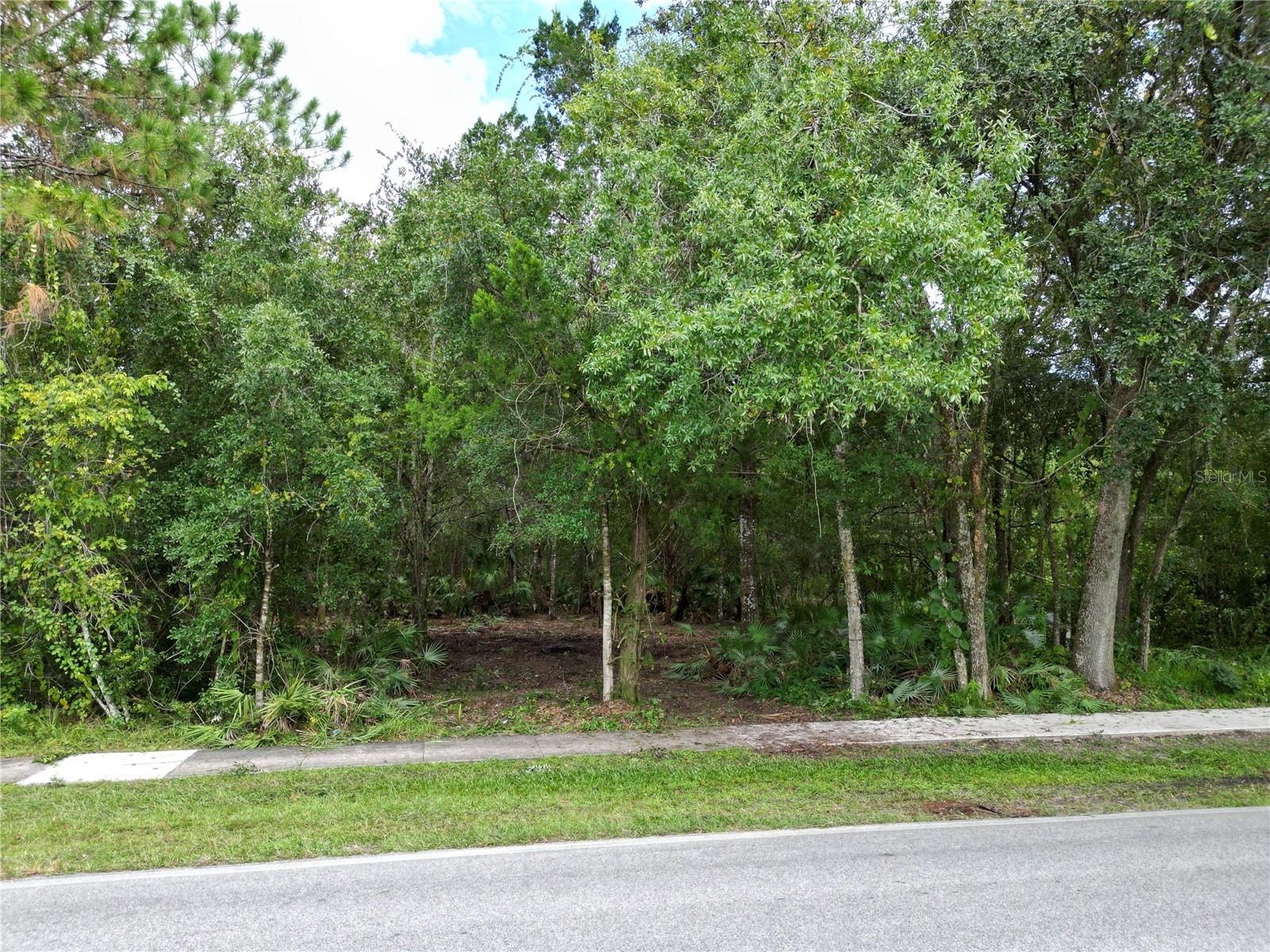 2039 N 6TH ST, ORLANDO, FL — photo 3