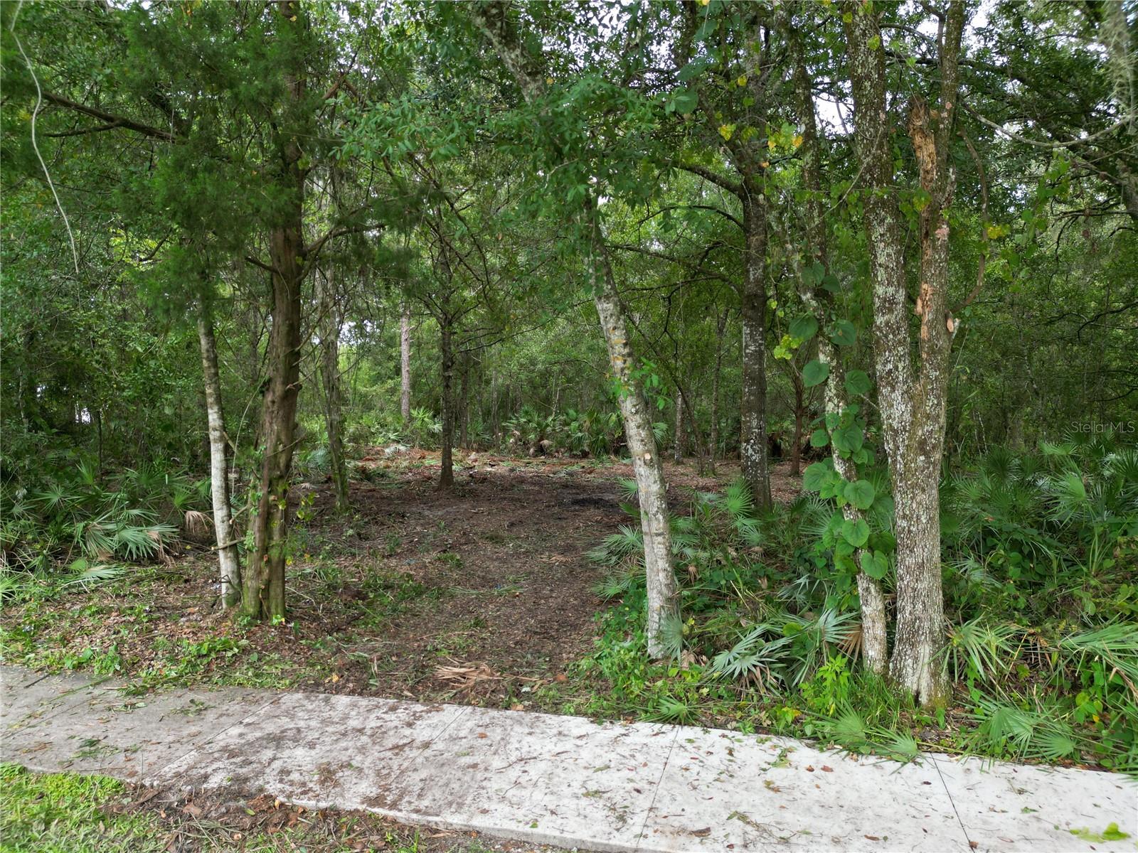 2039 N 6TH ST, ORLANDO, FL — photo 4