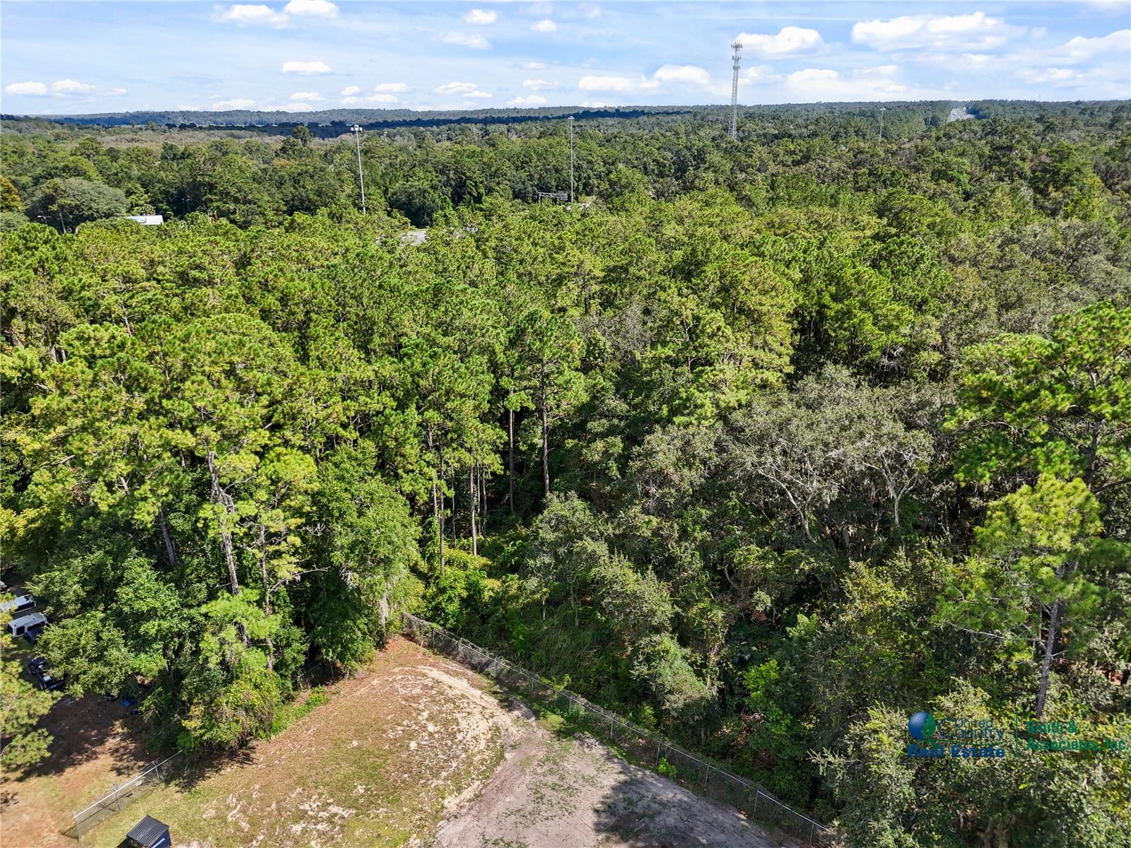 SE CR 234, MICANOPY, FL — photo 8