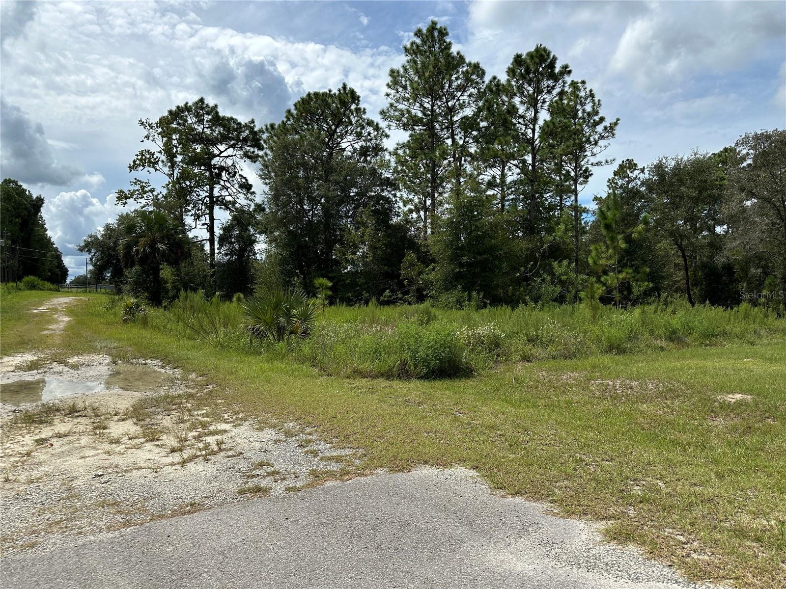 TBD SE 130TH CT, DUNNELLON, FL