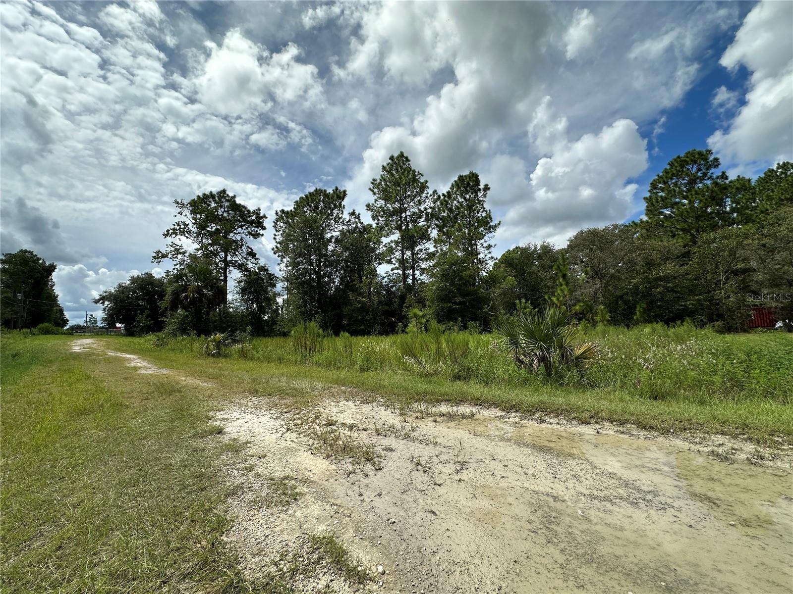 TBD SE 130TH CT, DUNNELLON, FL — photo 2