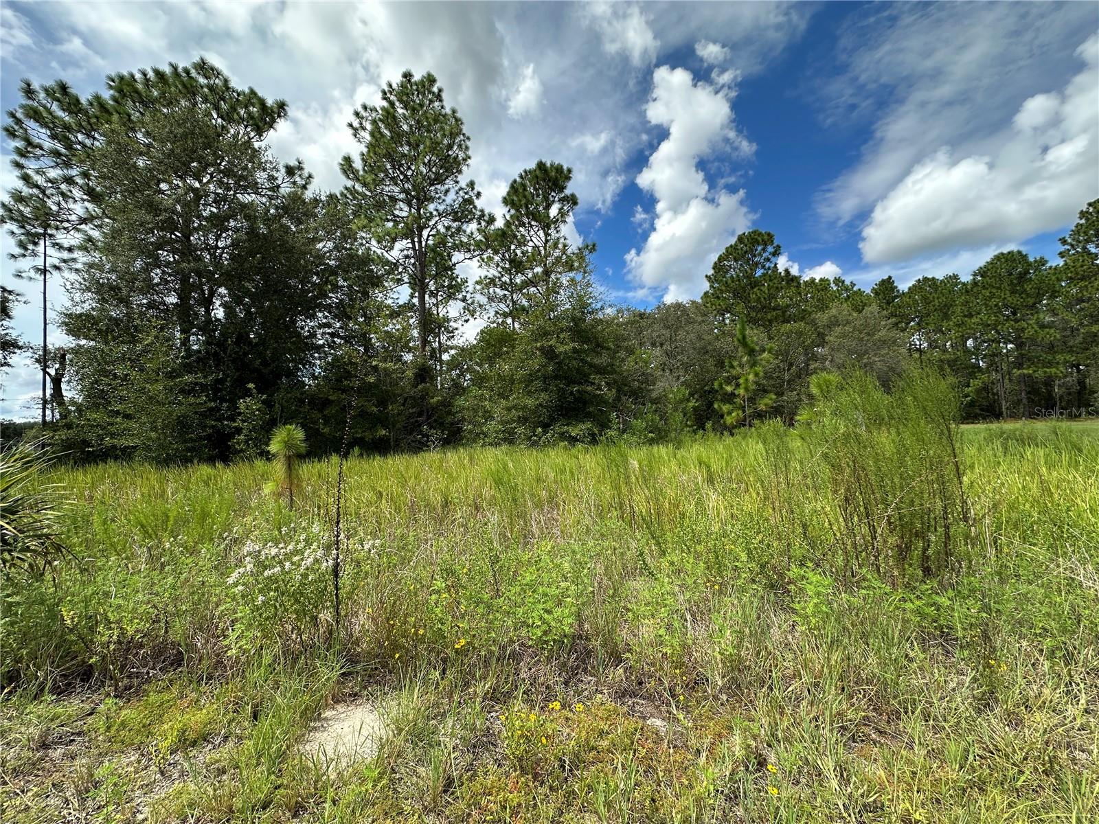 TBD SE 130TH CT, DUNNELLON, FL — photo 3