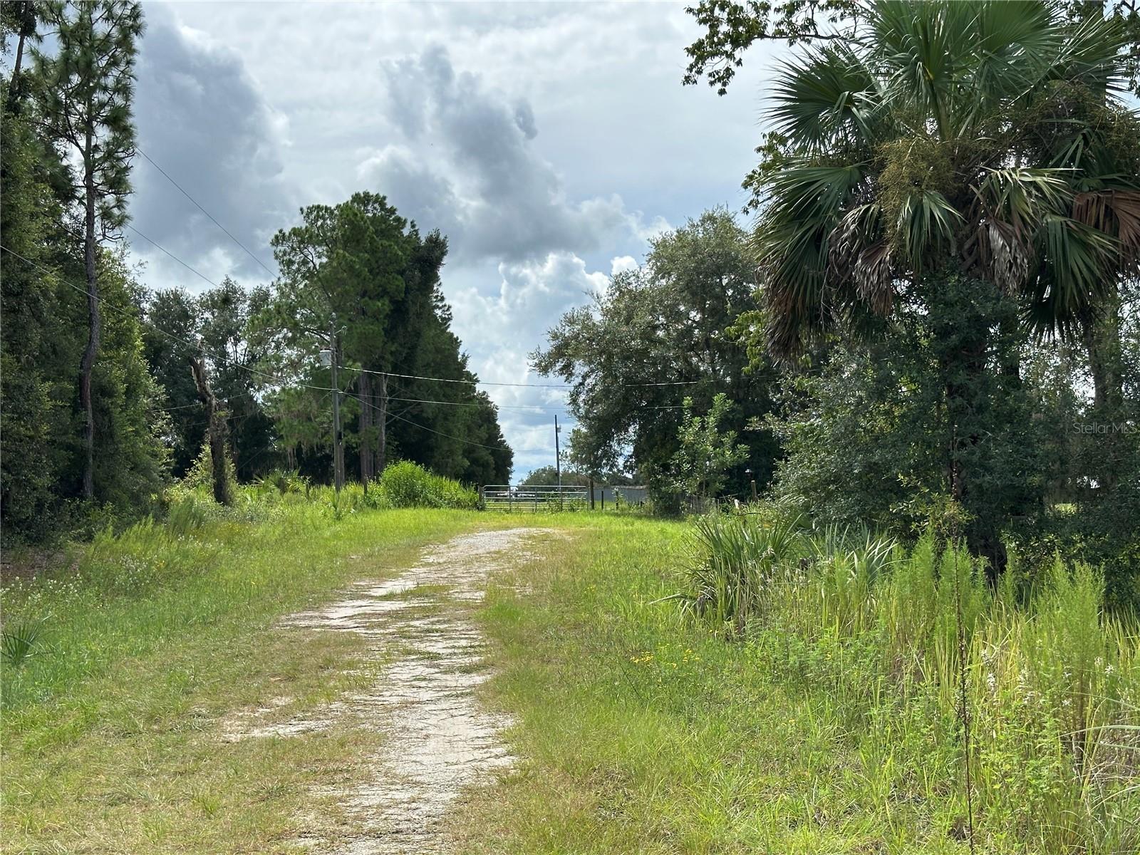 TBD SE 130TH CT, DUNNELLON, FL — photo 4