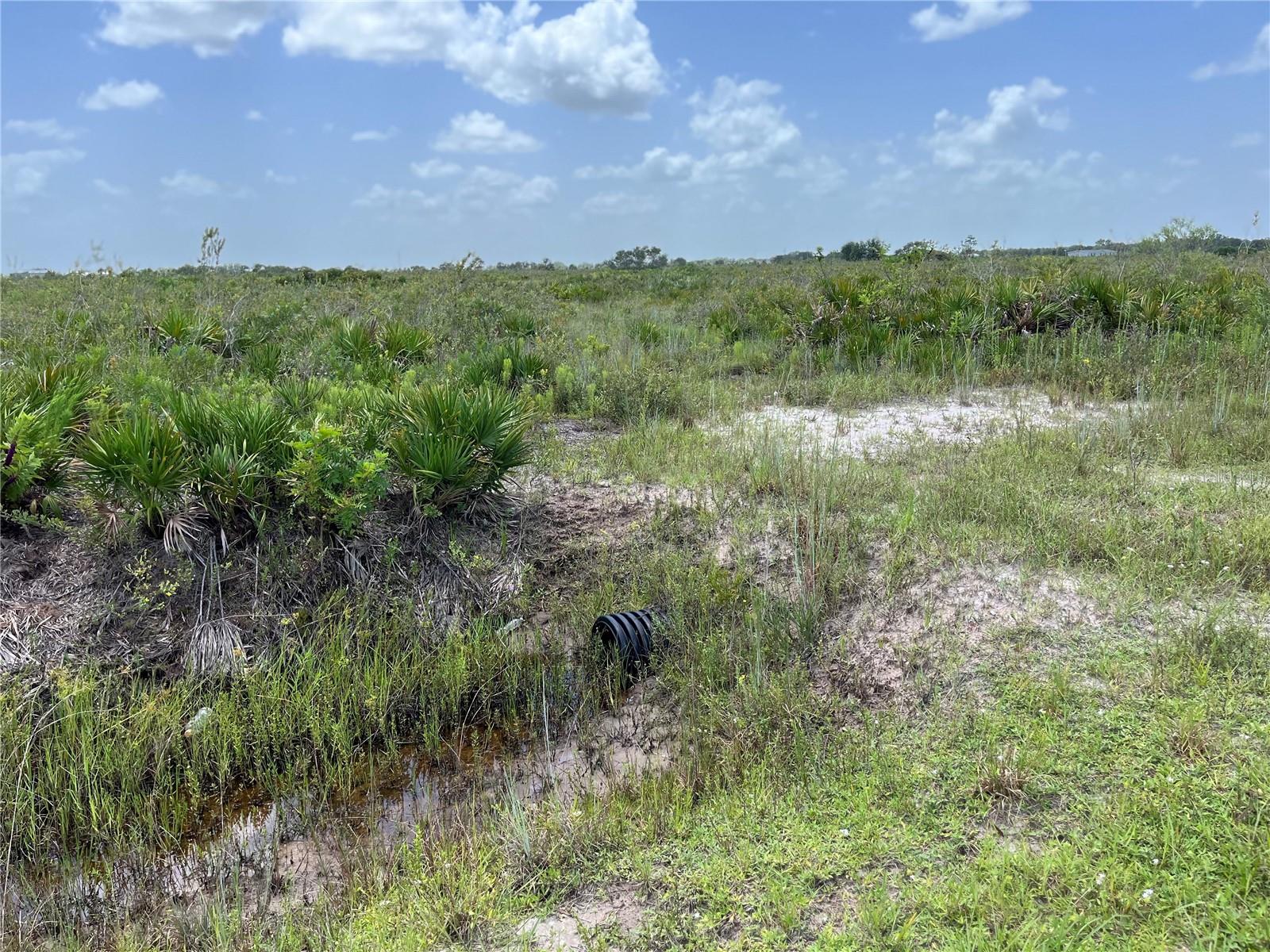 20106 NW 254TH ST, OKEECHOBEE, FL — photo 8