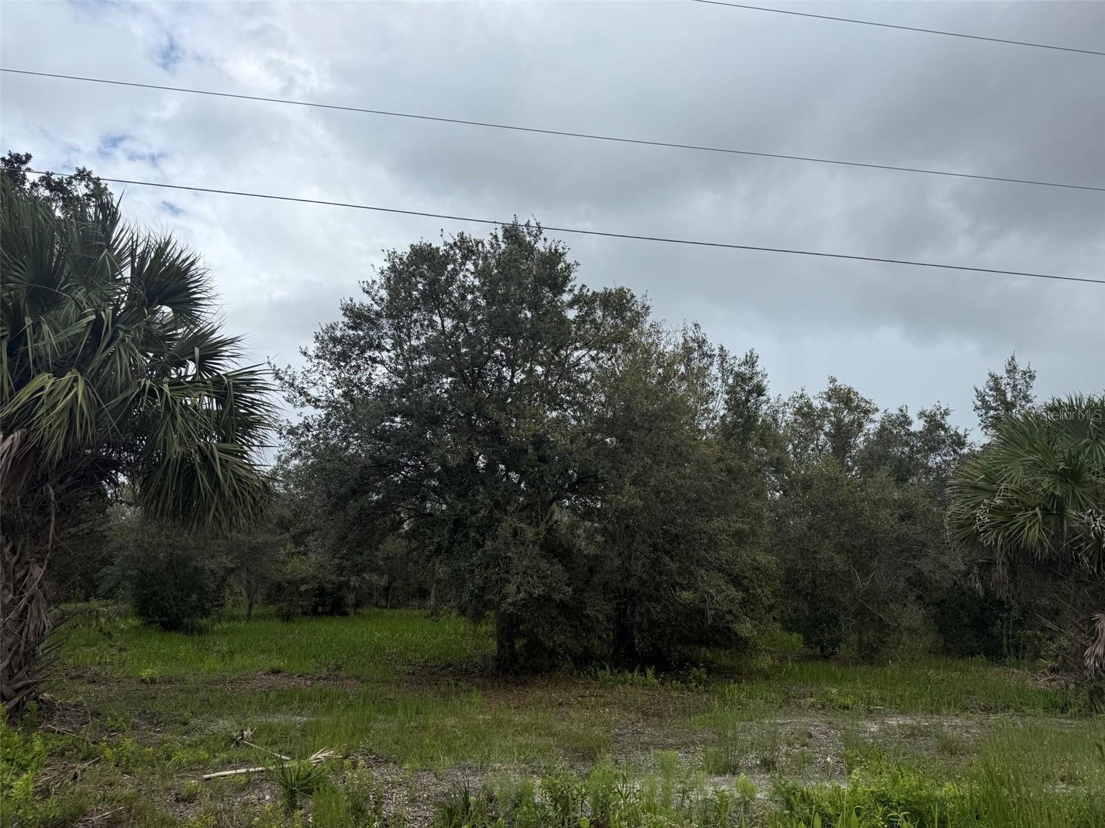 17915 NW 290TH ST, OKEECHOBEE, FL — photo 12