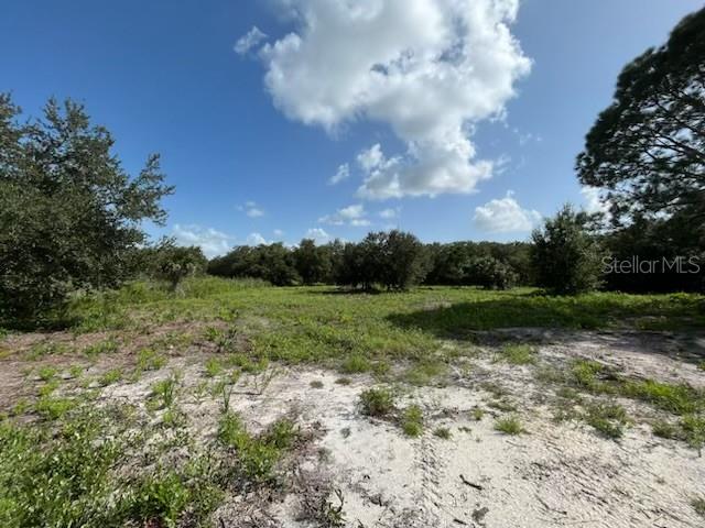 15134 NW 306TH ST, OKEECHOBEE, FL — photo 8