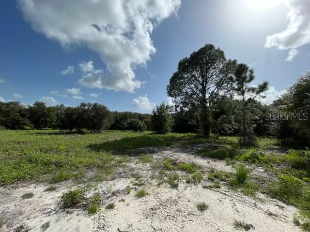 15134 NW 306TH ST, OKEECHOBEE, FL — photo 10