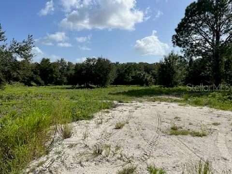 15134 NW 306TH ST, OKEECHOBEE, FL — photo 16