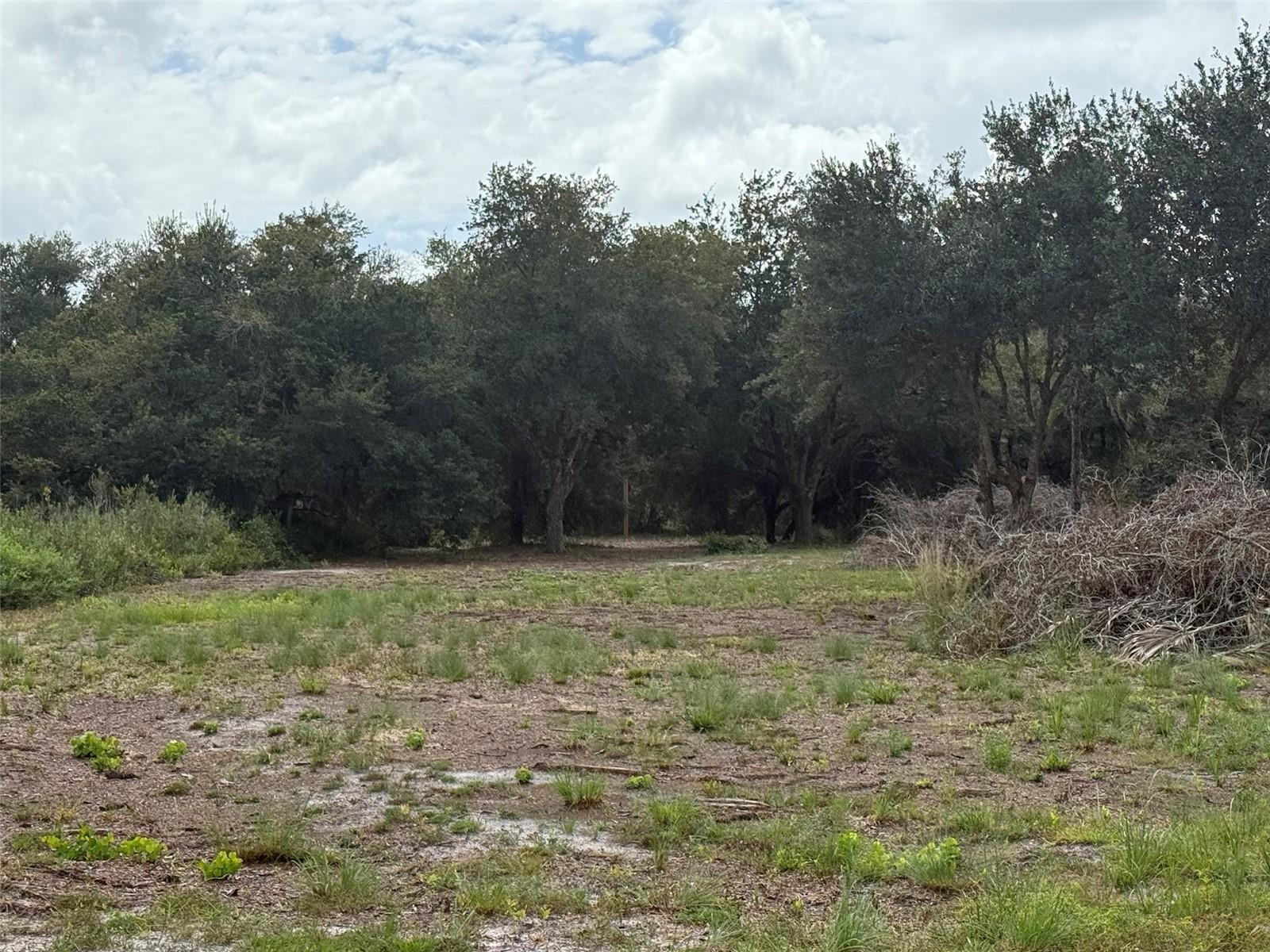 15134 NW 306TH ST, OKEECHOBEE, FL — photo 4
