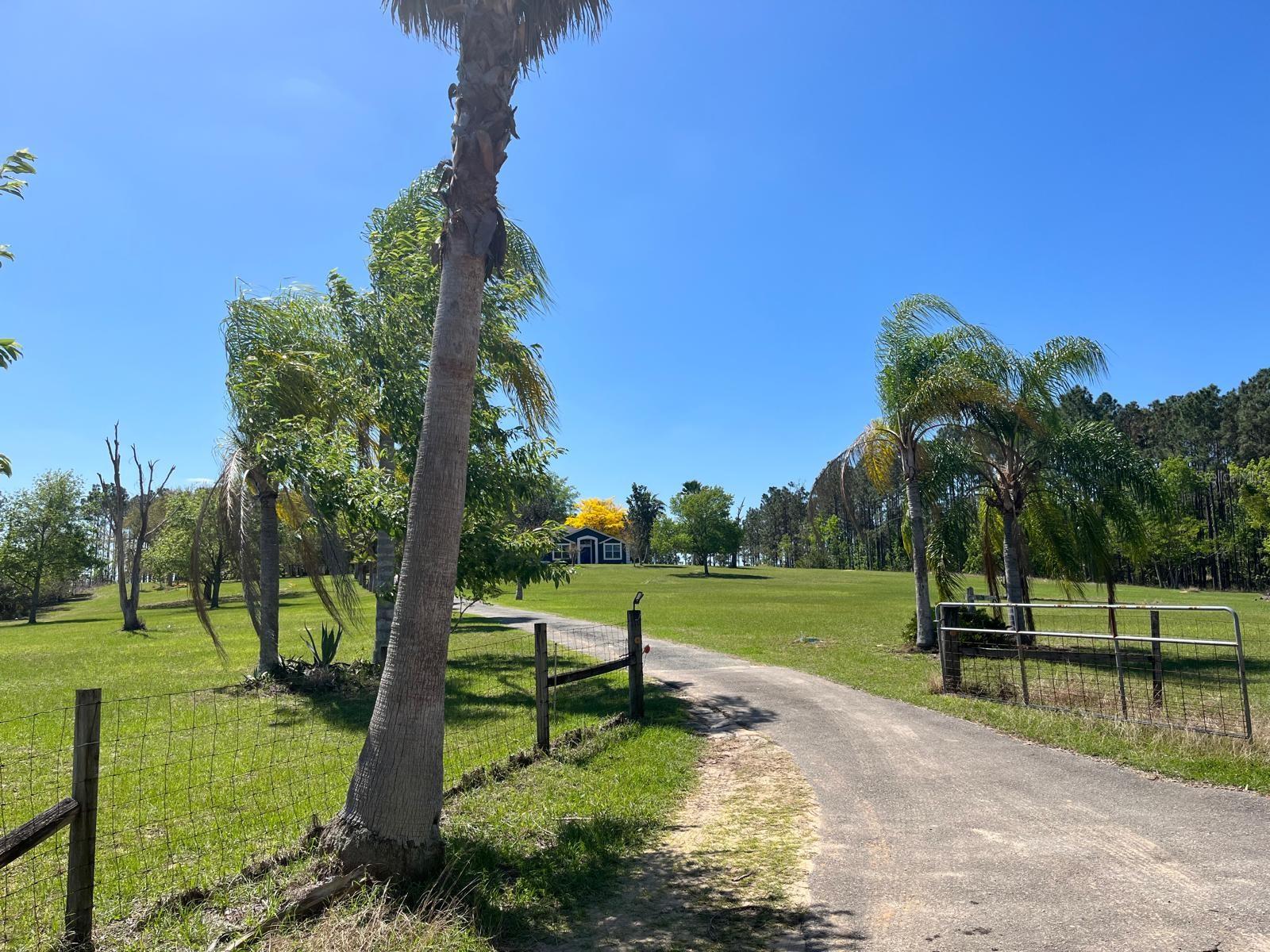 14520 LOST LAKE RD, CLERMONT, FL — photo 62