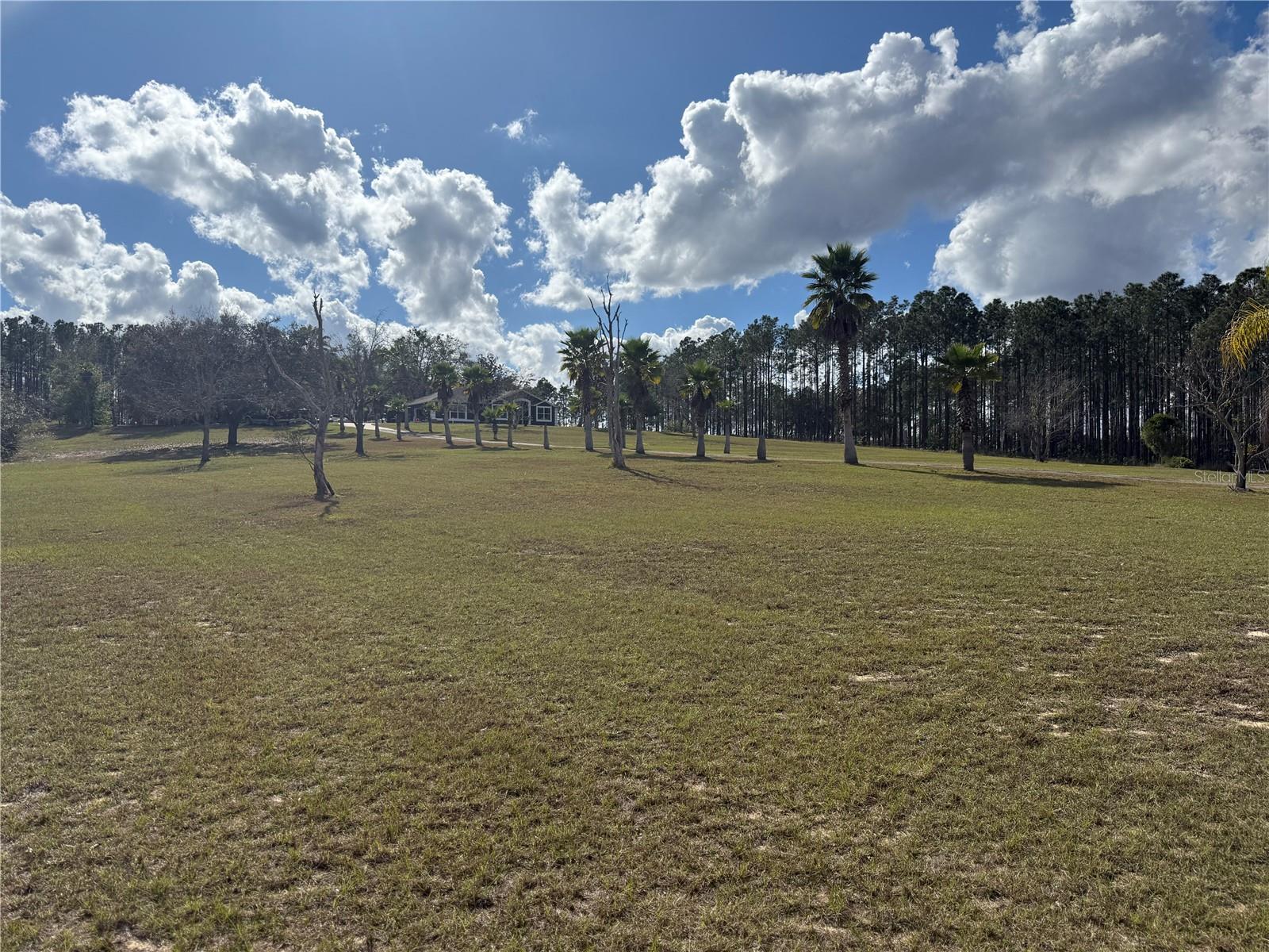 14520 LOST LAKE RD, CLERMONT, FL — photo 64