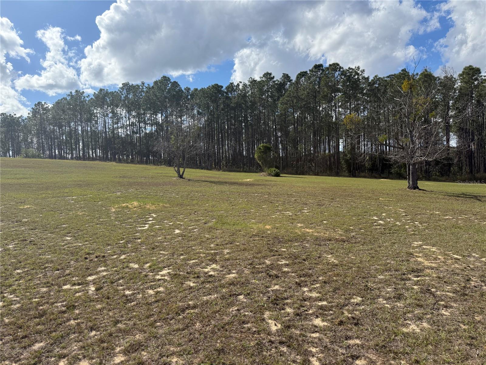 14520 LOST LAKE RD, CLERMONT, FL — photo 69