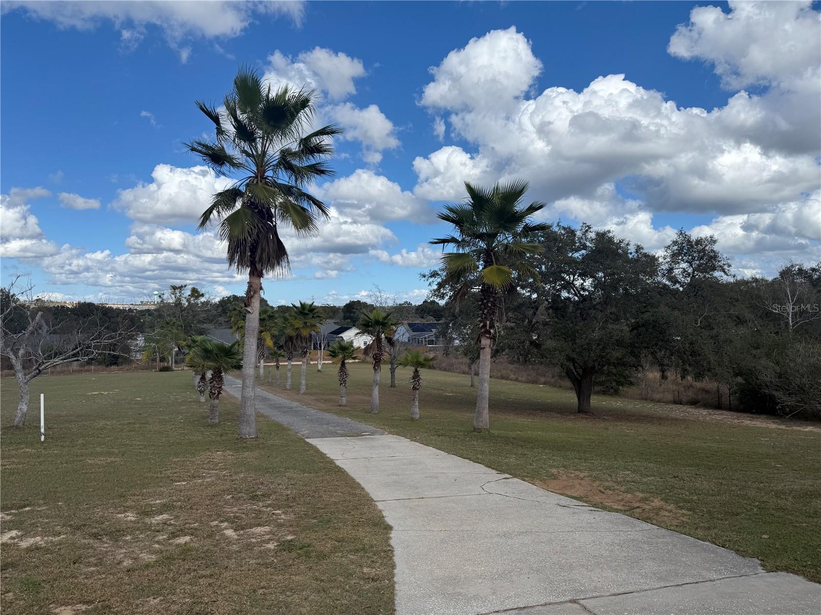 14520 LOST LAKE RD, CLERMONT, FL — photo 74