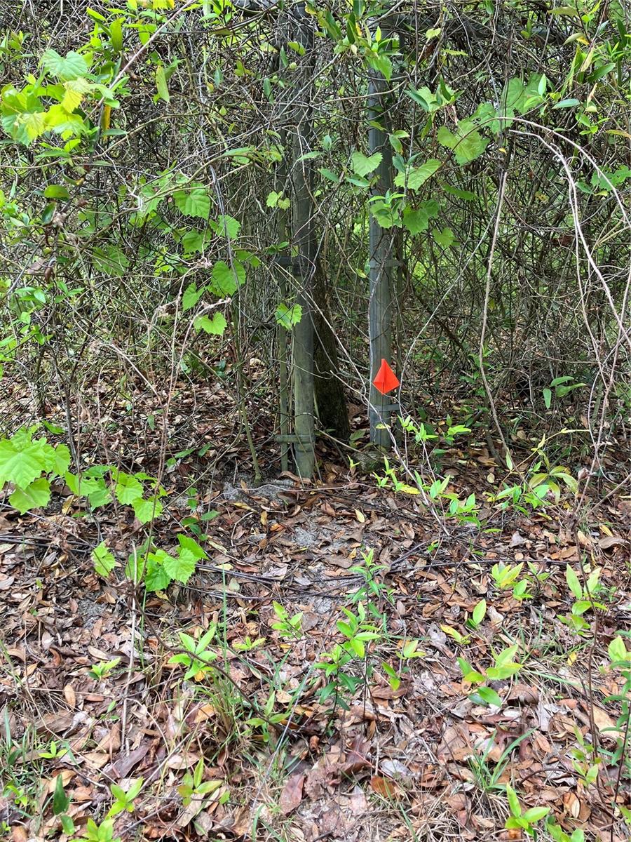 TBD Lot 58 SE 1ST LN, SILVER SPRINGS, FL — photo 5