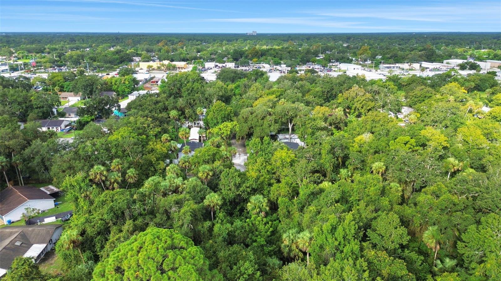 711 TENNESSEE TER, ORMOND BEACH, FL — photo 10