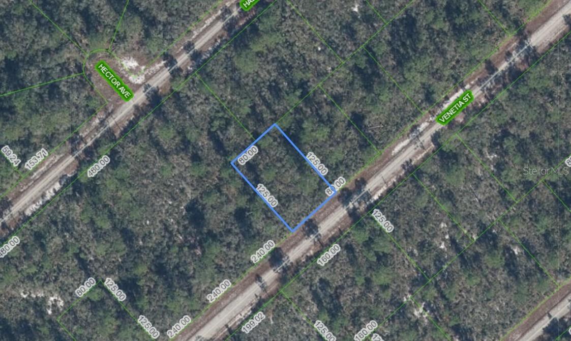 3535 VENETIA ST, LAKE PLACID, FL