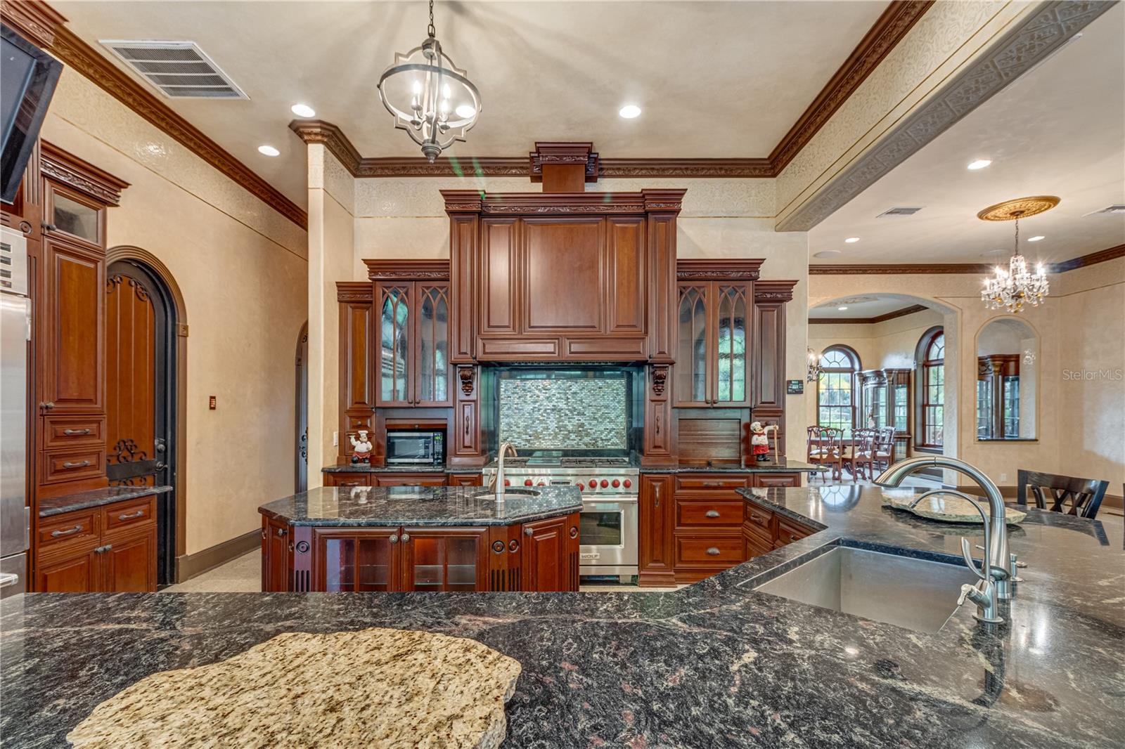 117 BELLAMERE PALMS CT, LUTZ, FL — photo 74