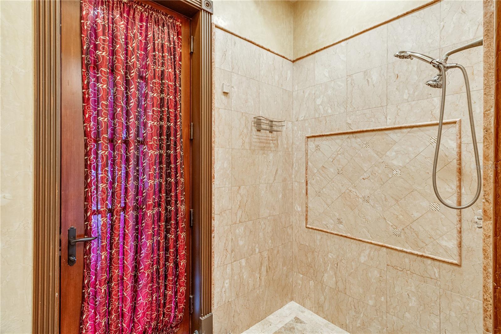 117 BELLAMERE PALMS CT, LUTZ, FL — photo 127