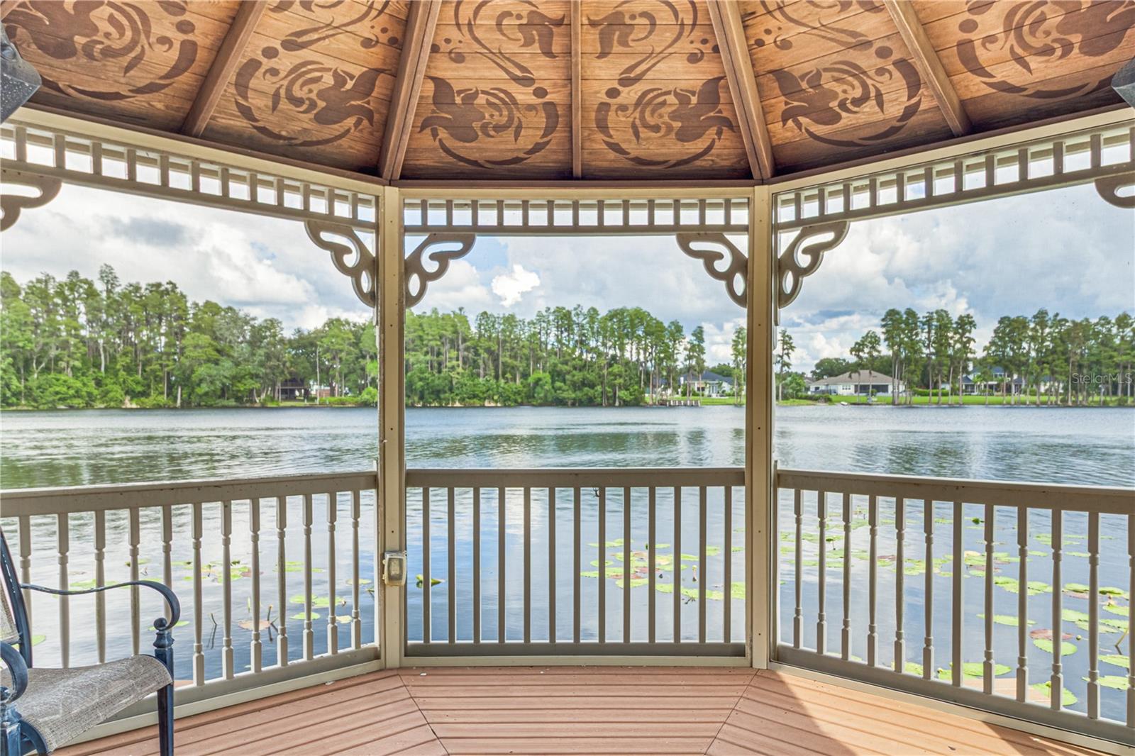 117 BELLAMERE PALMS CT, LUTZ, FL — photo 191