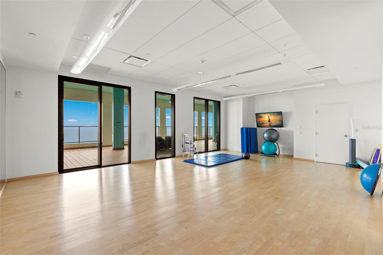 1 BEACH DR SE #2206, ST PETERSBURG, FL — photo 48