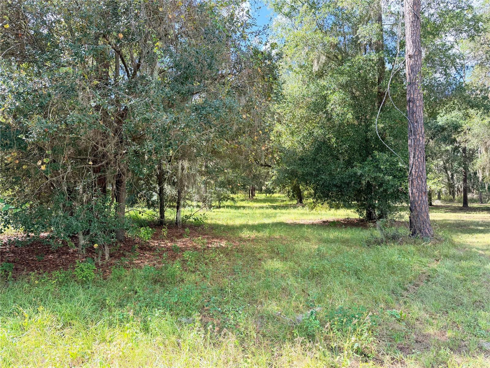BONSMARA DR, GROVELAND, FL