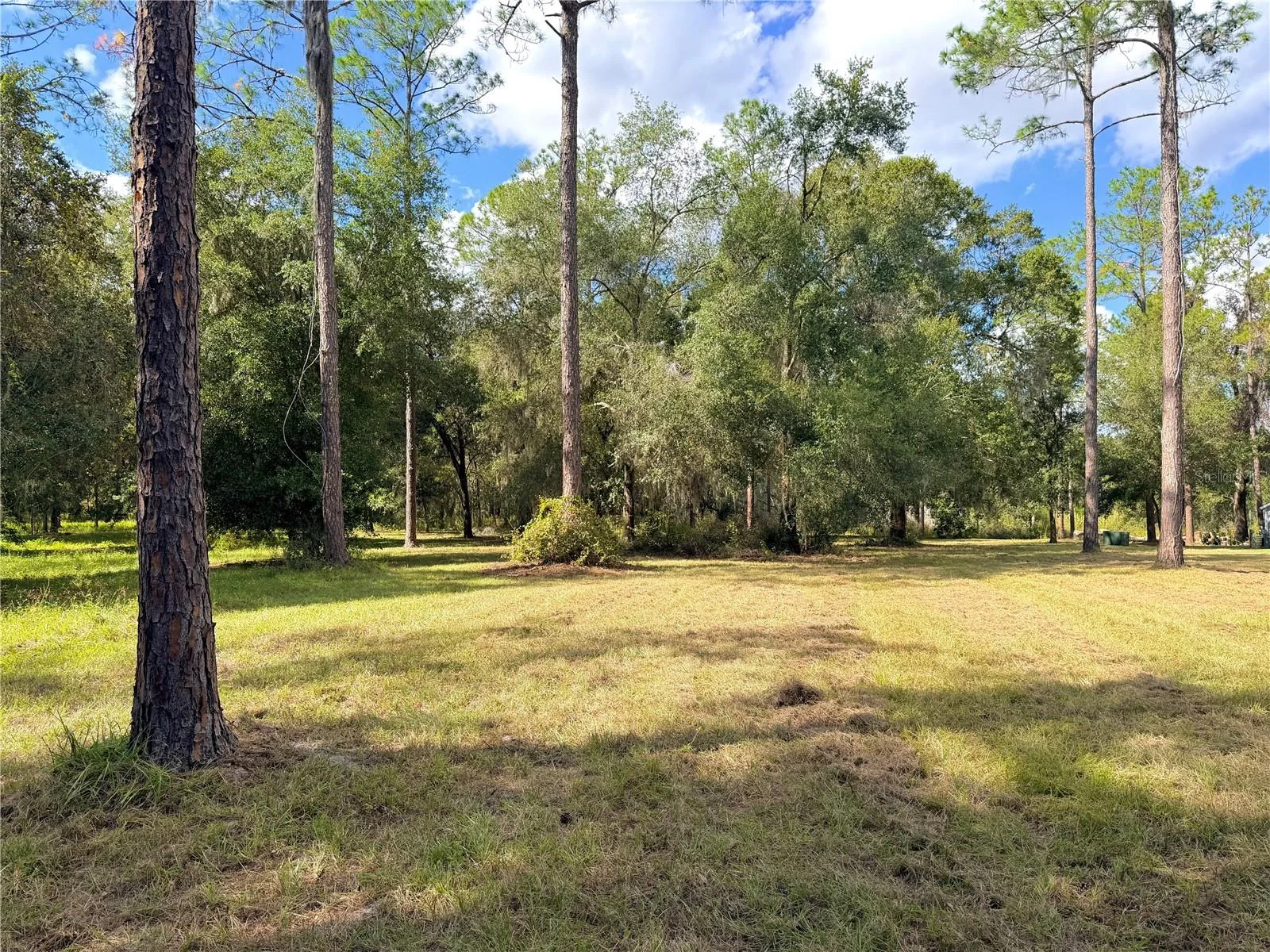 BONSMARA DR, GROVELAND, FL — photo 3