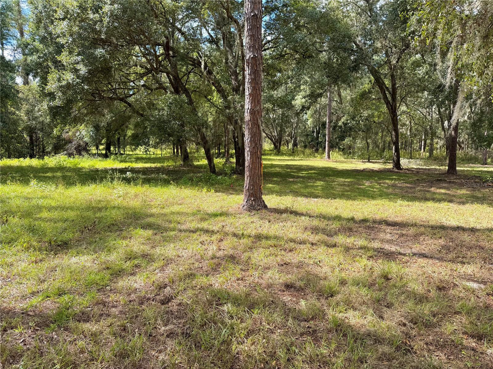 BONSMARA DR, GROVELAND, FL — photo 5