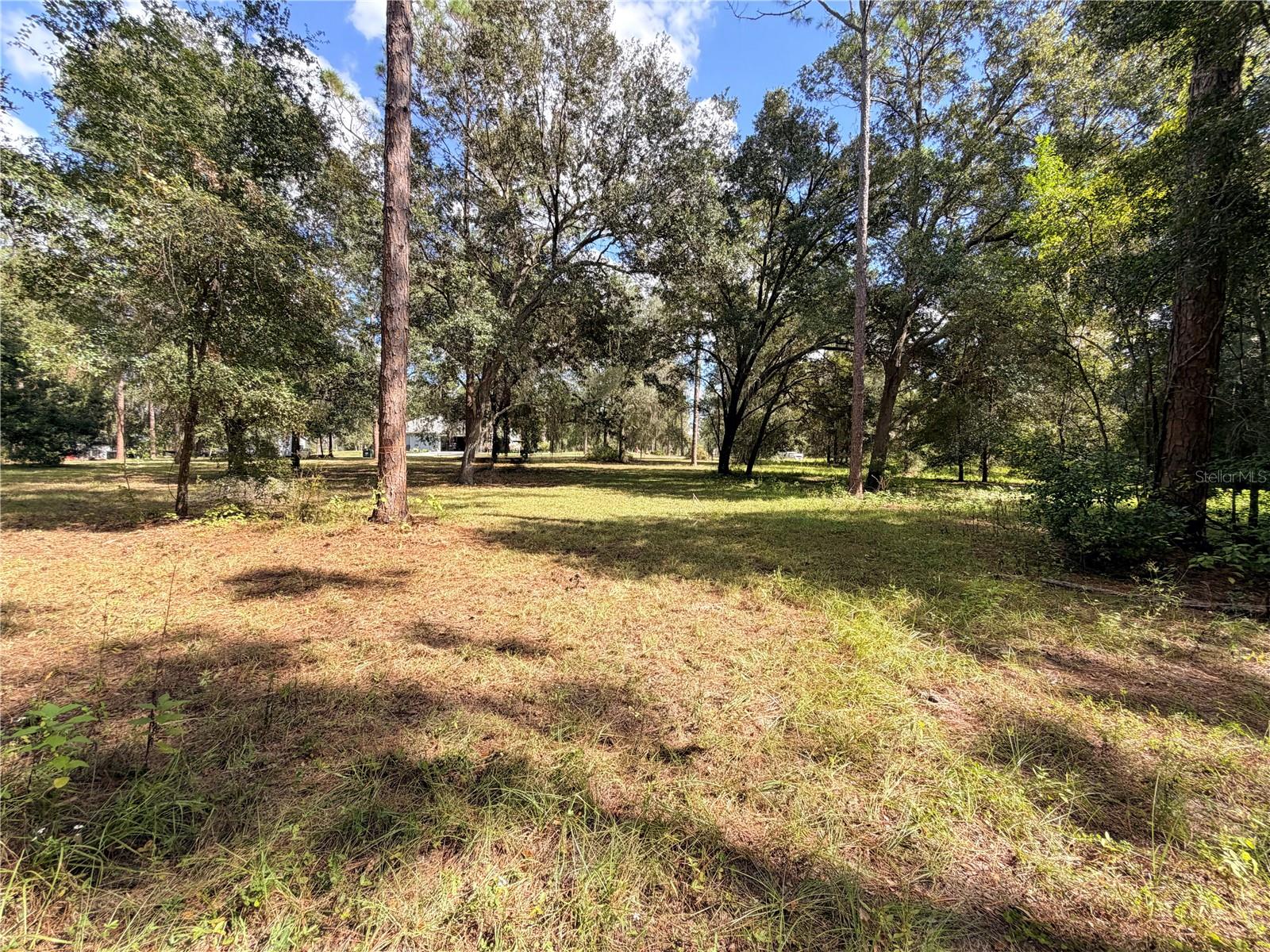 BONSMARA DR, GROVELAND, FL — photo 8