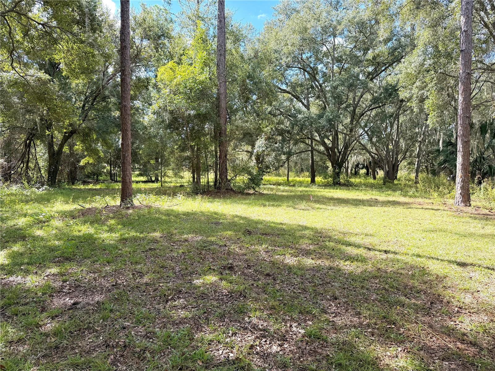 BONSMARA DR, GROVELAND, FL — photo 10