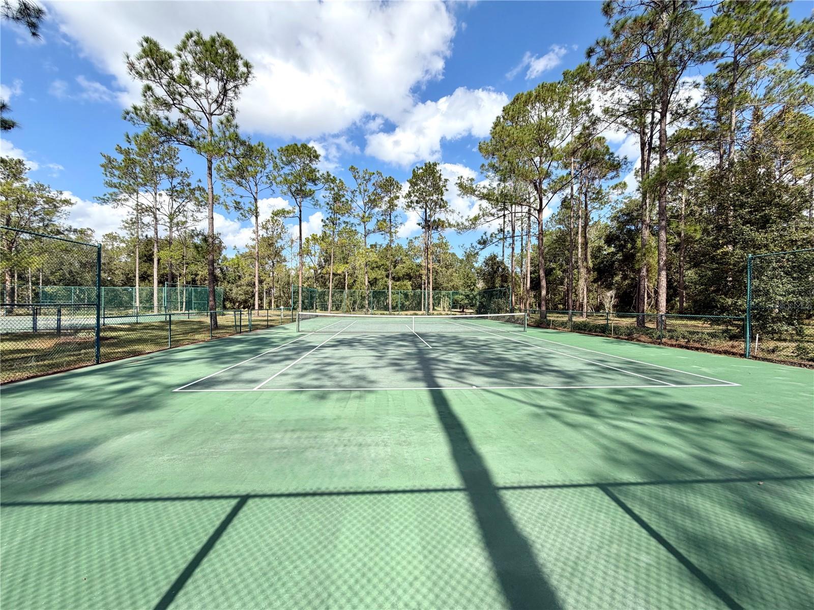 BONSMARA DR, GROVELAND, FL — photo 19