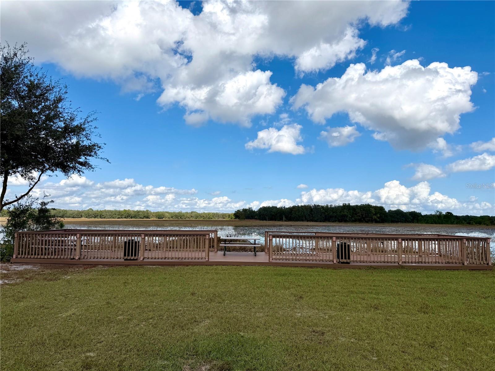 BONSMARA DR, GROVELAND, FL — photo 23
