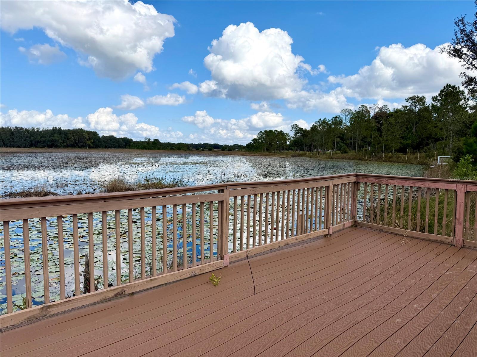 BONSMARA DR, GROVELAND, FL — photo 29