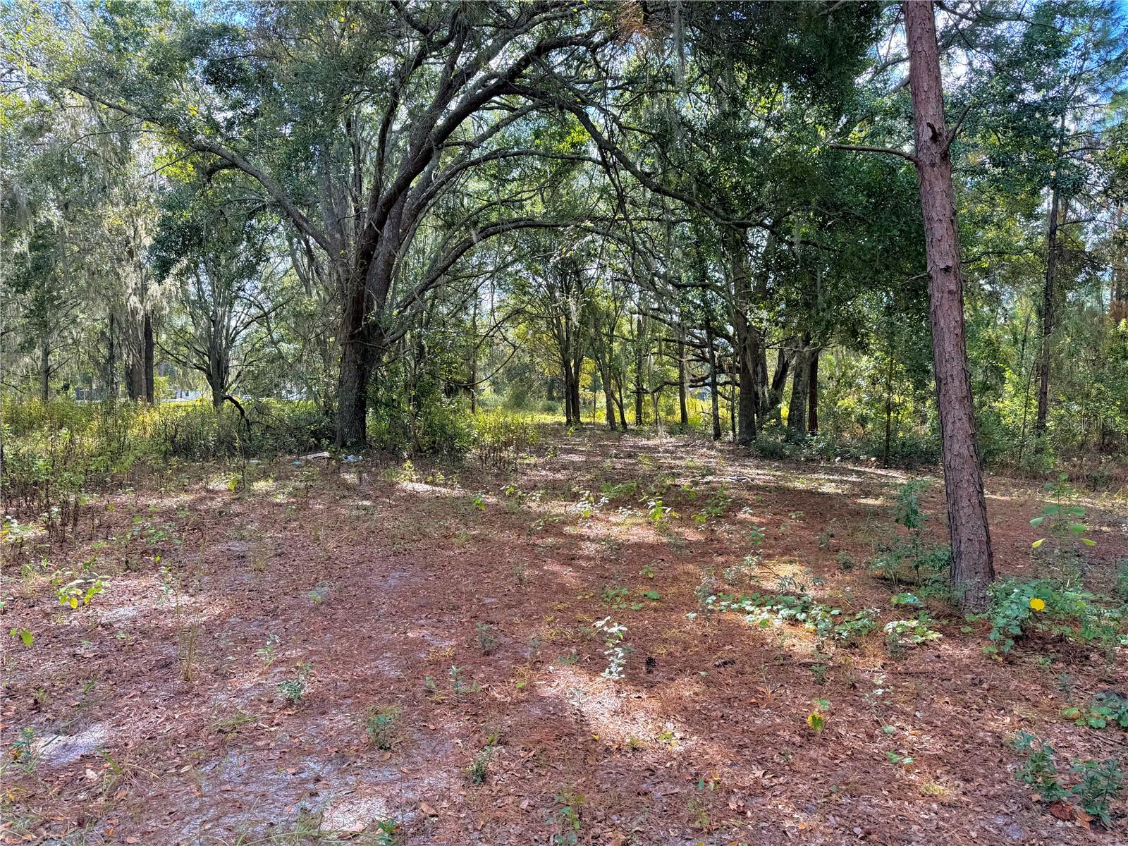 BONSMARA DR, GROVELAND, FL — photo 38