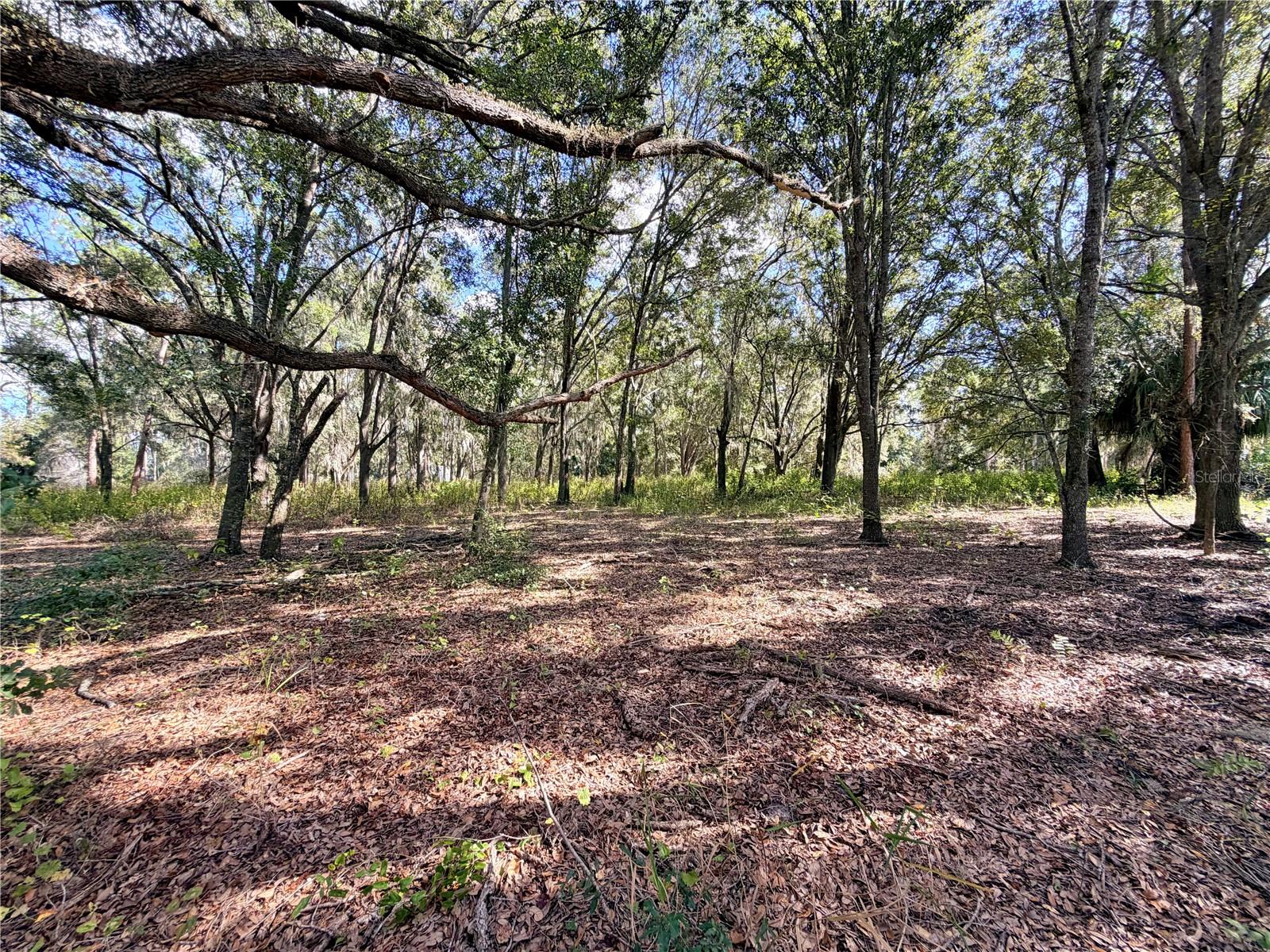 BONSMARA DR, GROVELAND, FL — photo 41