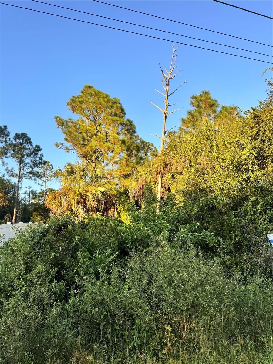 COLORADE AVE, NORTH PORT, FL — photo 2