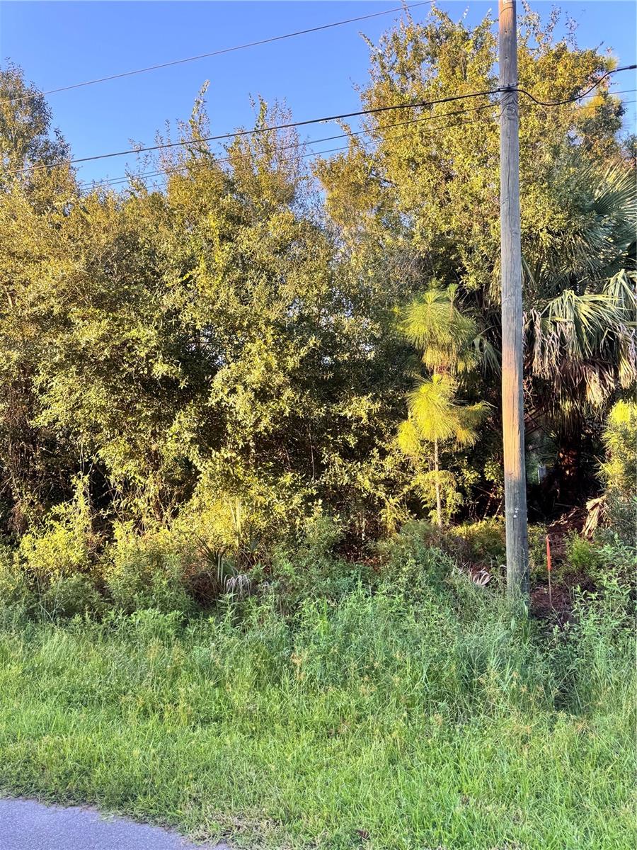 COLORADE AVE, NORTH PORT, FL — photo 3