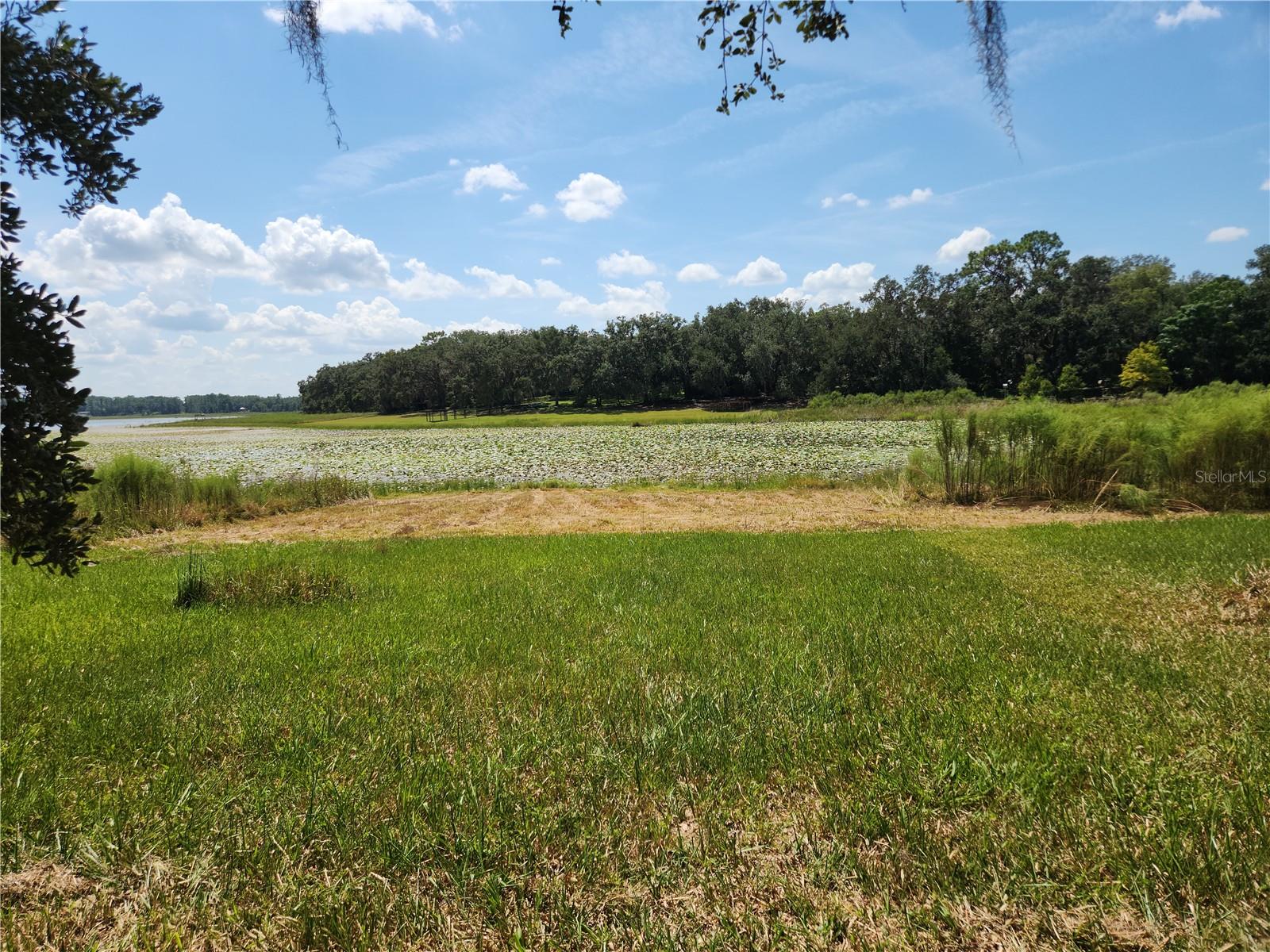 Lot 53 SW SHOREWOOD DR, DUNNELLON, FL — photo 2
