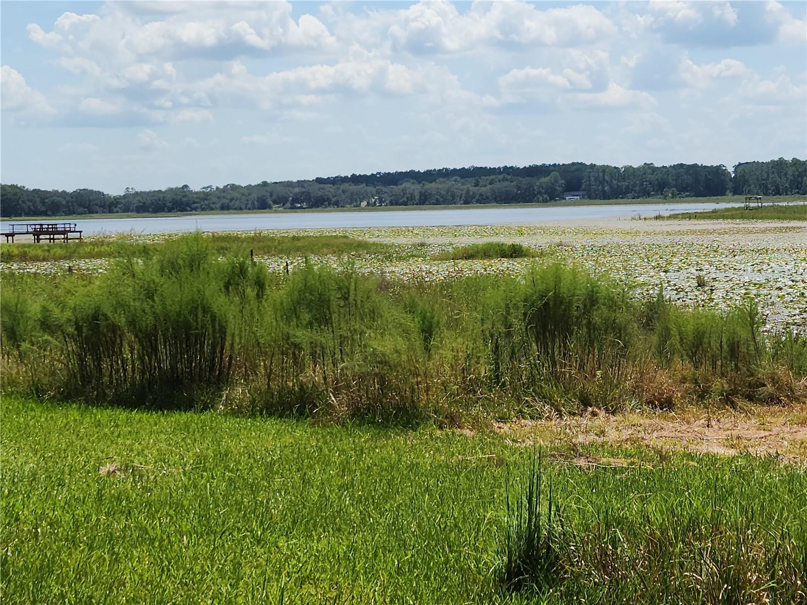 Lot 53 SW SHOREWOOD DR, DUNNELLON, FL — photo 3