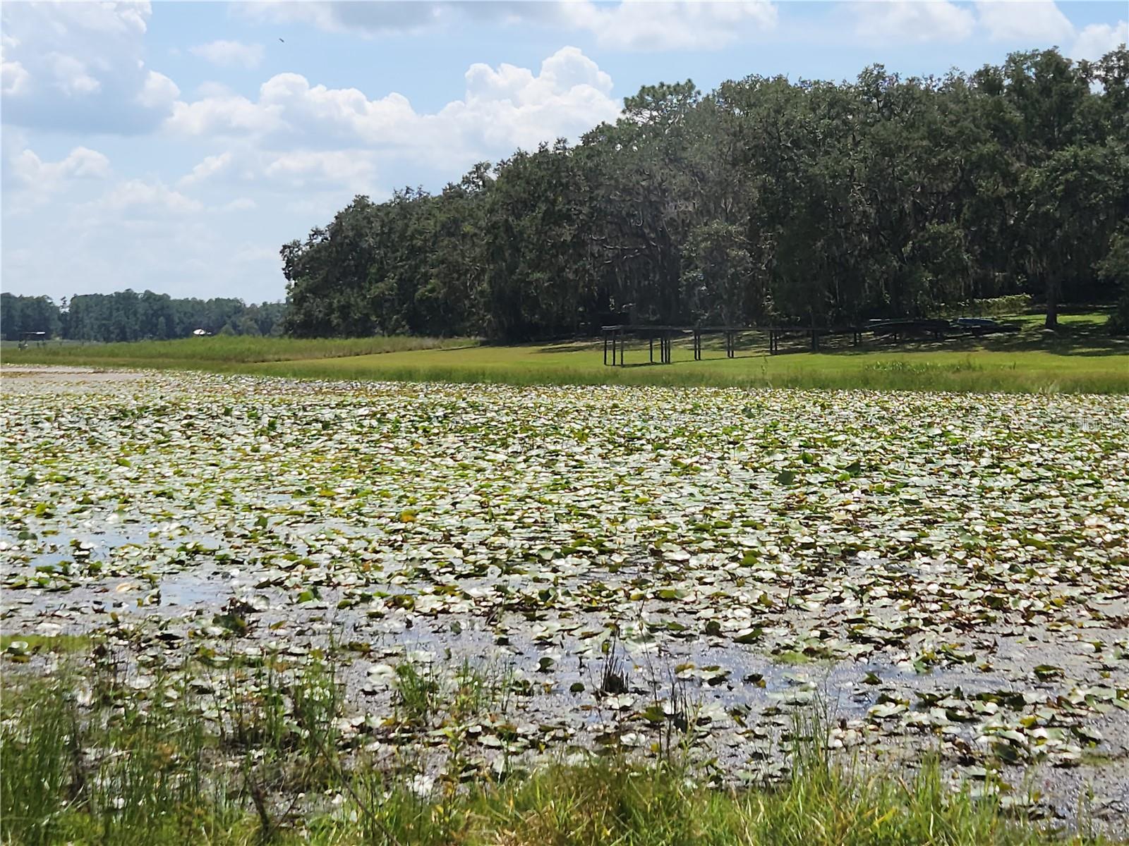 Lot 53 SW SHOREWOOD DR, DUNNELLON, FL — photo 4