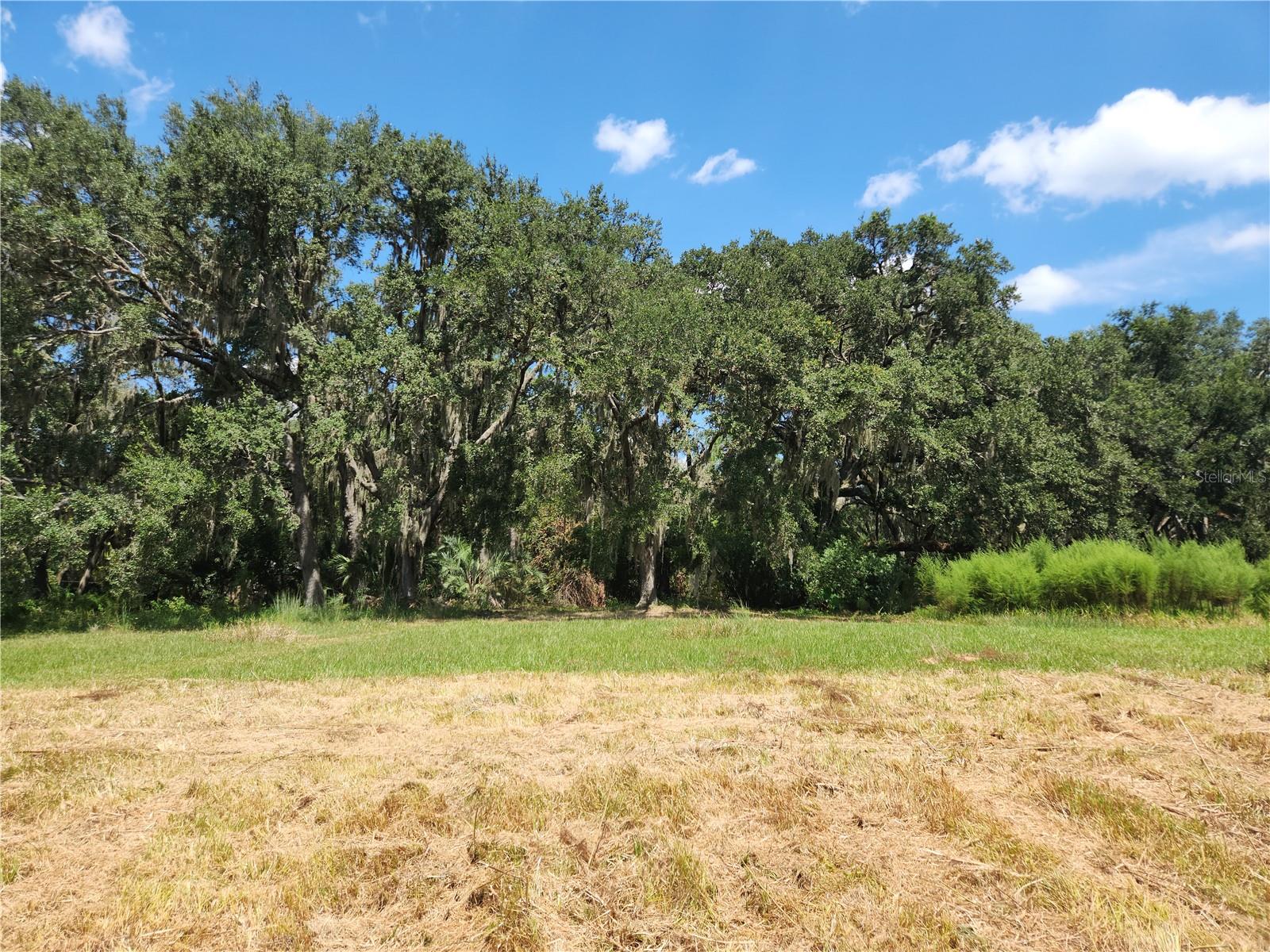 Lot 53 SW SHOREWOOD DR, DUNNELLON, FL — photo 5