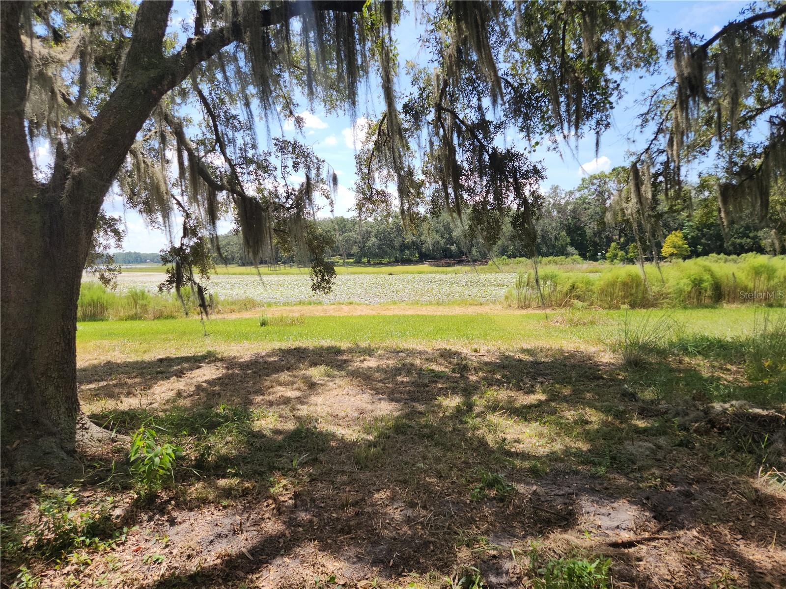 Lot 53 SW SHOREWOOD DR, DUNNELLON, FL — photo 6