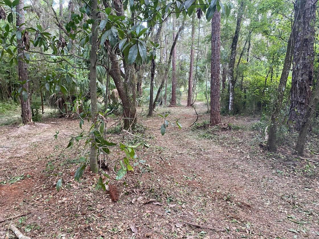 Lot 53 SW SHOREWOOD DR, DUNNELLON, FL — photo 7