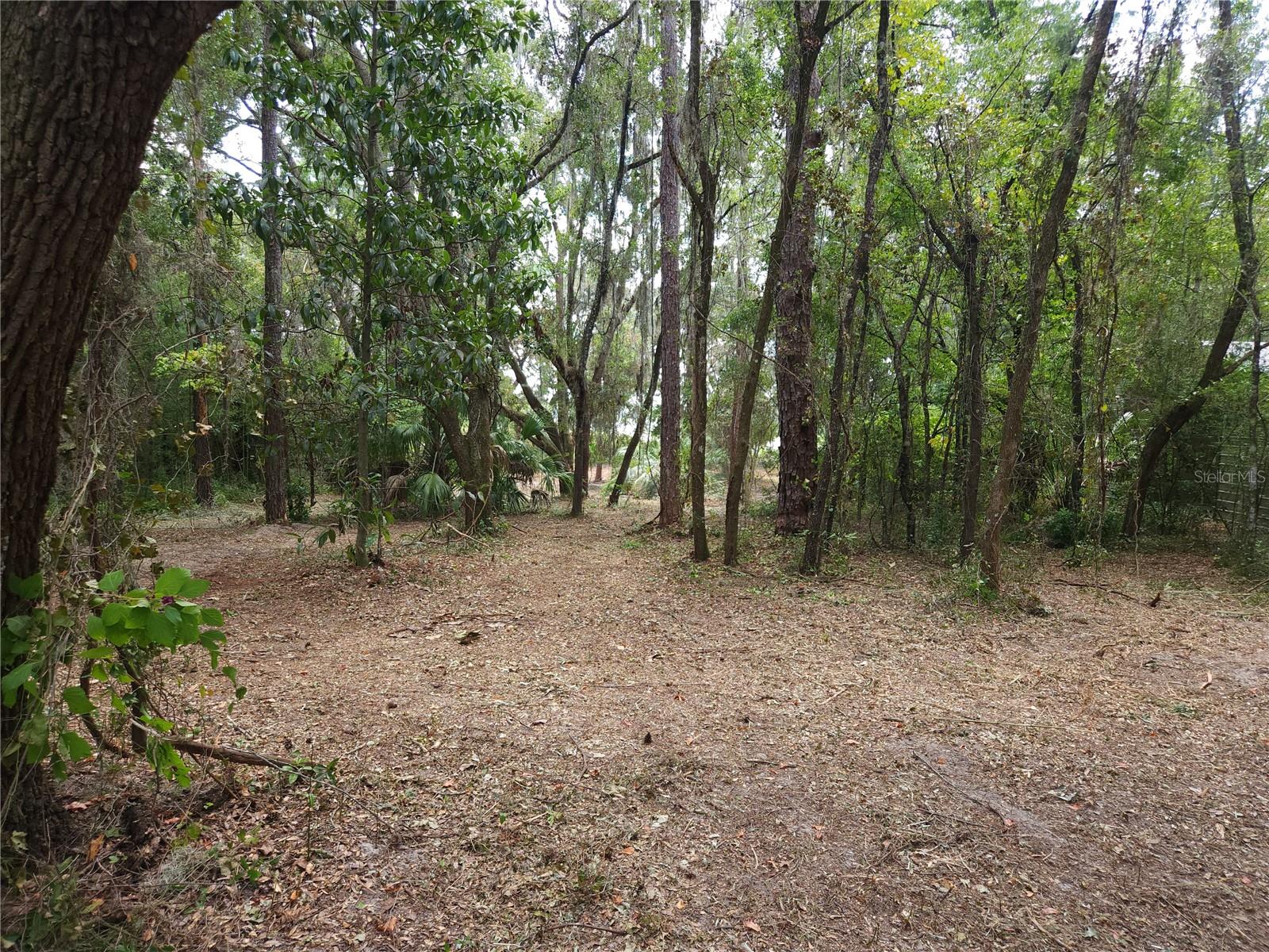 Lot 53 SW SHOREWOOD DR, DUNNELLON, FL — photo 8