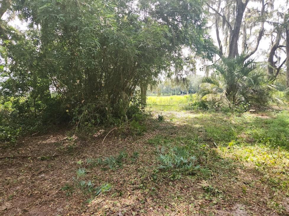 Lot 53 SW SHOREWOOD DR, DUNNELLON, FL — photo 9