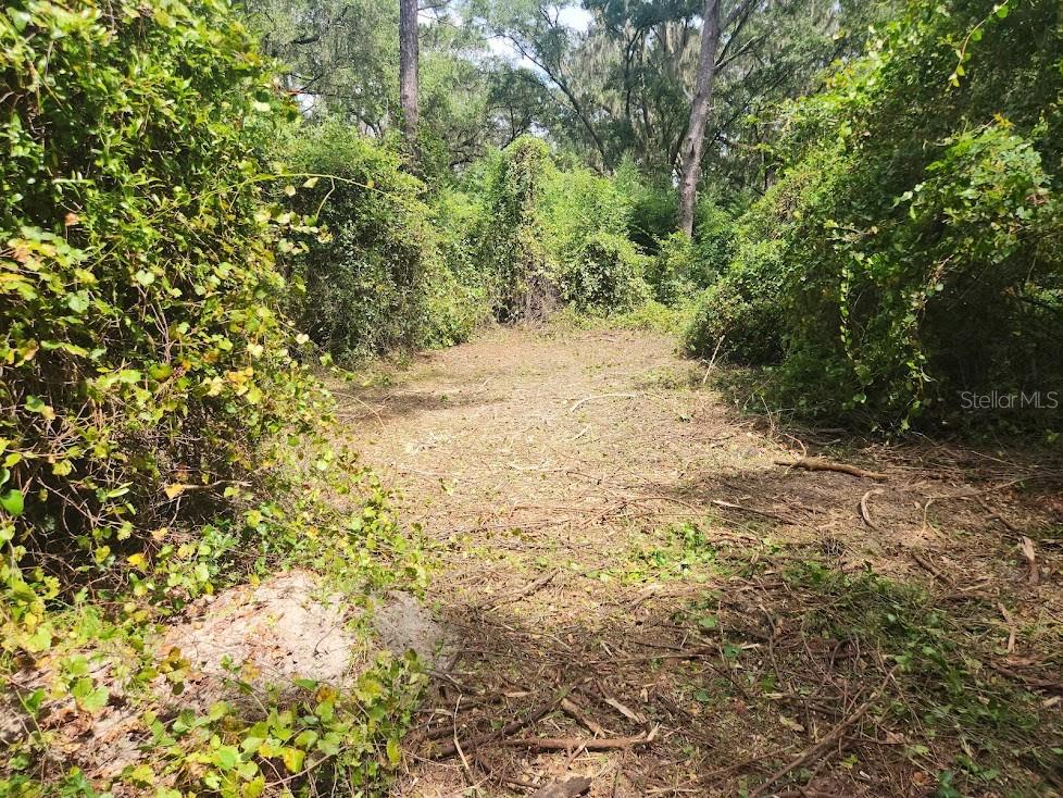 Lot 53 SW SHOREWOOD DR, DUNNELLON, FL — photo 10
