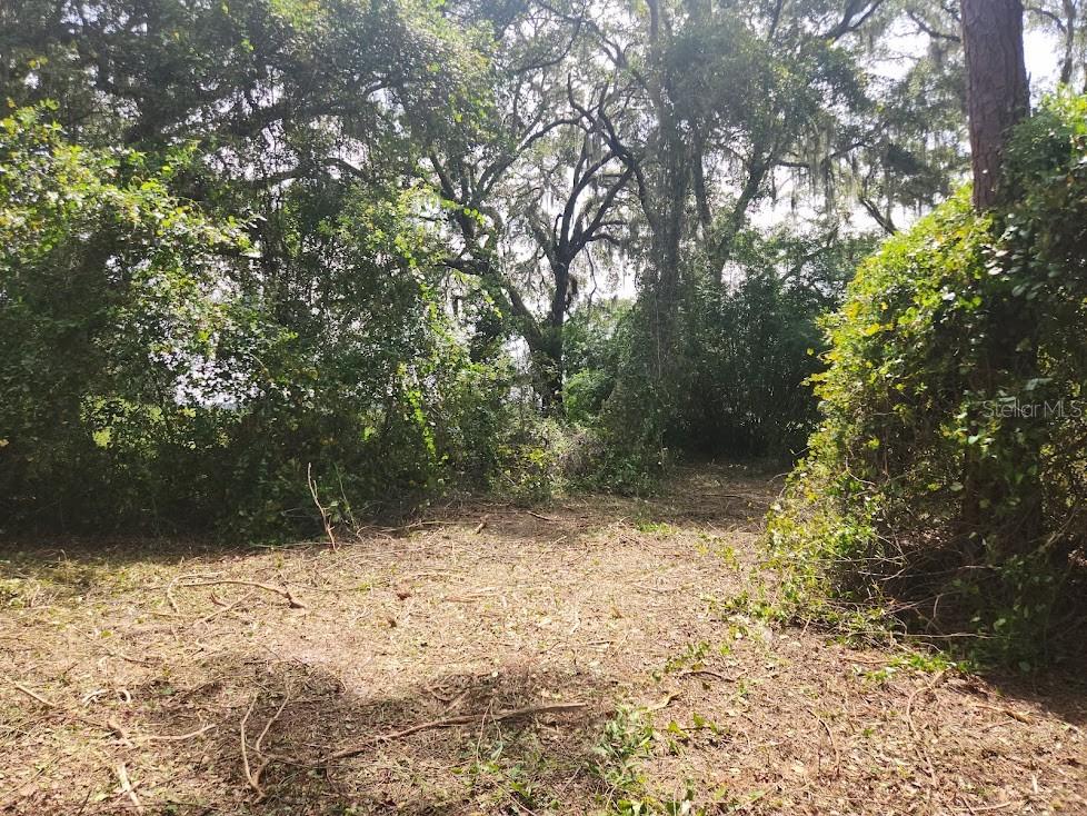 Lot 53 SW SHOREWOOD DR, DUNNELLON, FL — photo 11