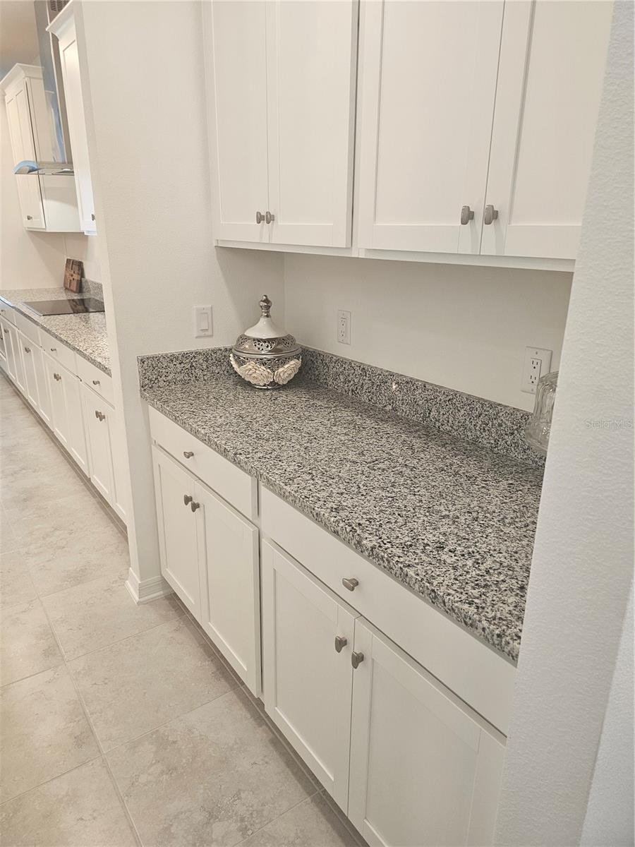 2450 SUNNY PEBBLE LOOP, ZEPHYRHILLS, FL — photo 13