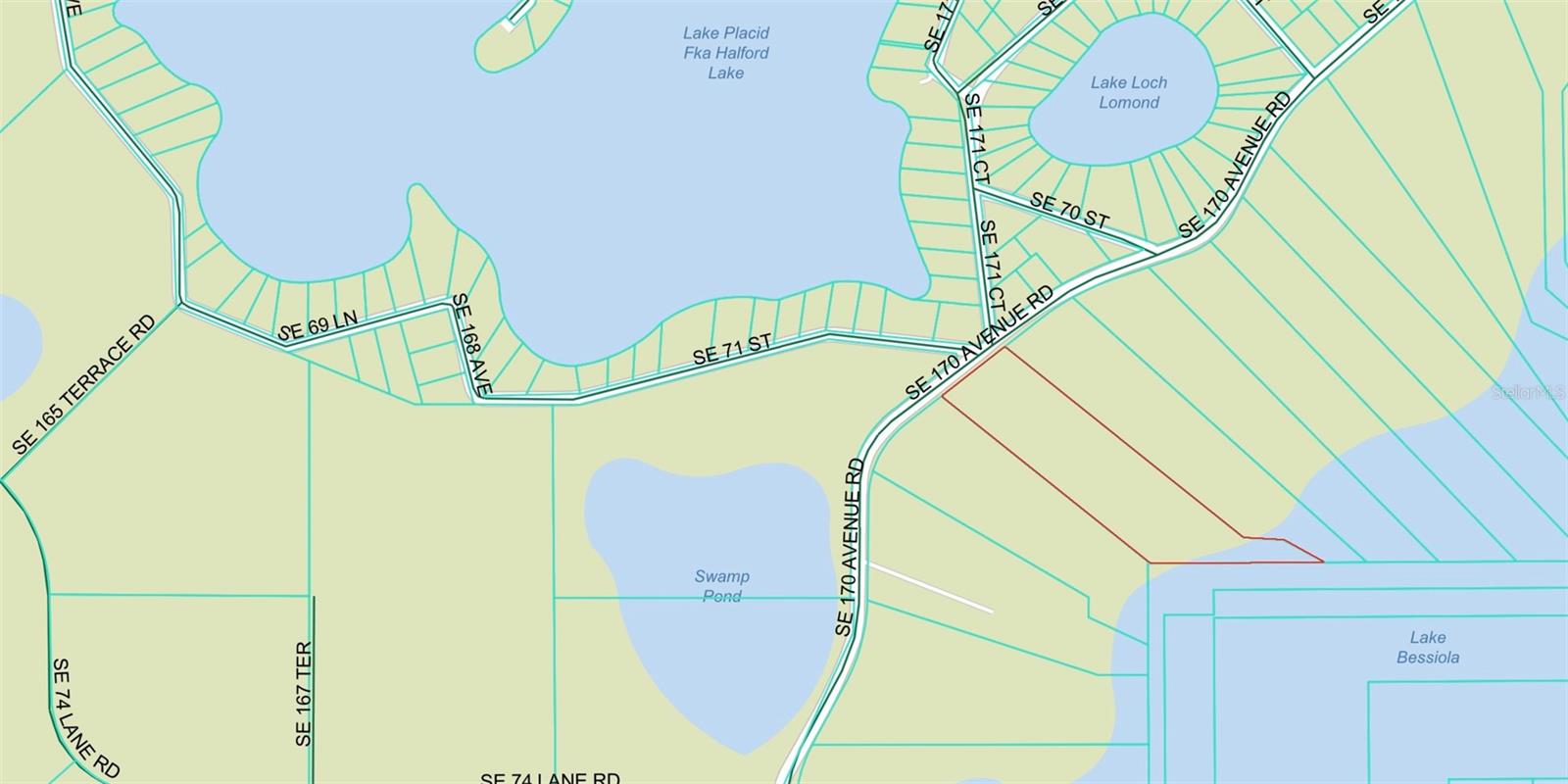TBD SE 170TH AVE, OCKLAWAHA, FL — photo 10
