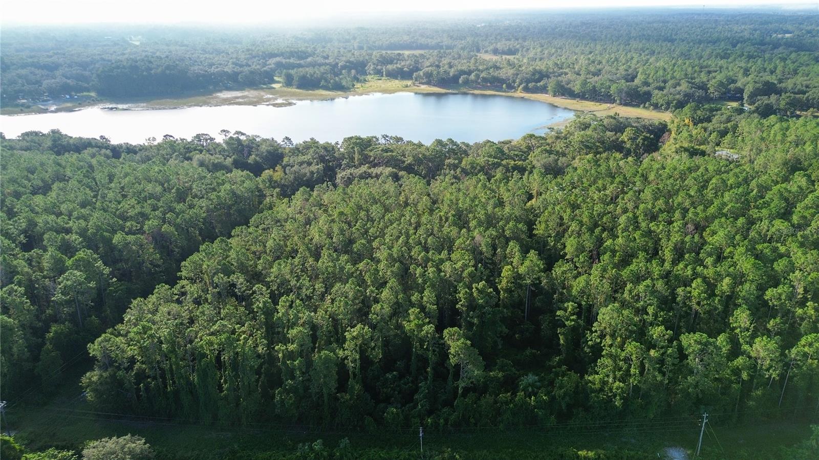 TBD SE 170TH AVE, OCKLAWAHA, FL — photo 2